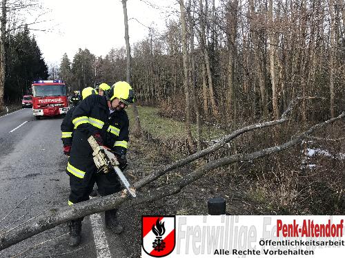 Sturmschaden auf der LH137 a