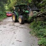 Baum auf Fahrbahn