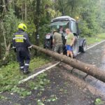 Technischer Einsatz am Forst